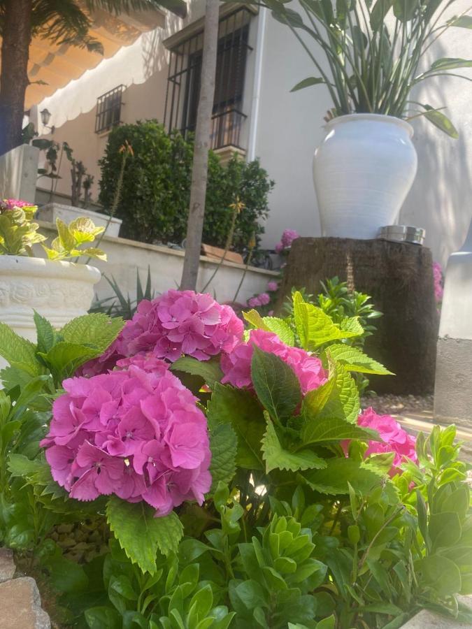 Casa Los Encinares Cordoba Dış mekan fotoğraf